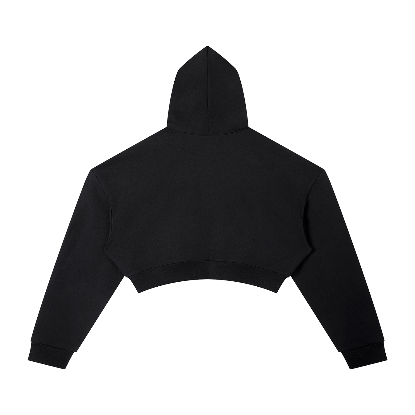 GWAE Cropped Hoodie