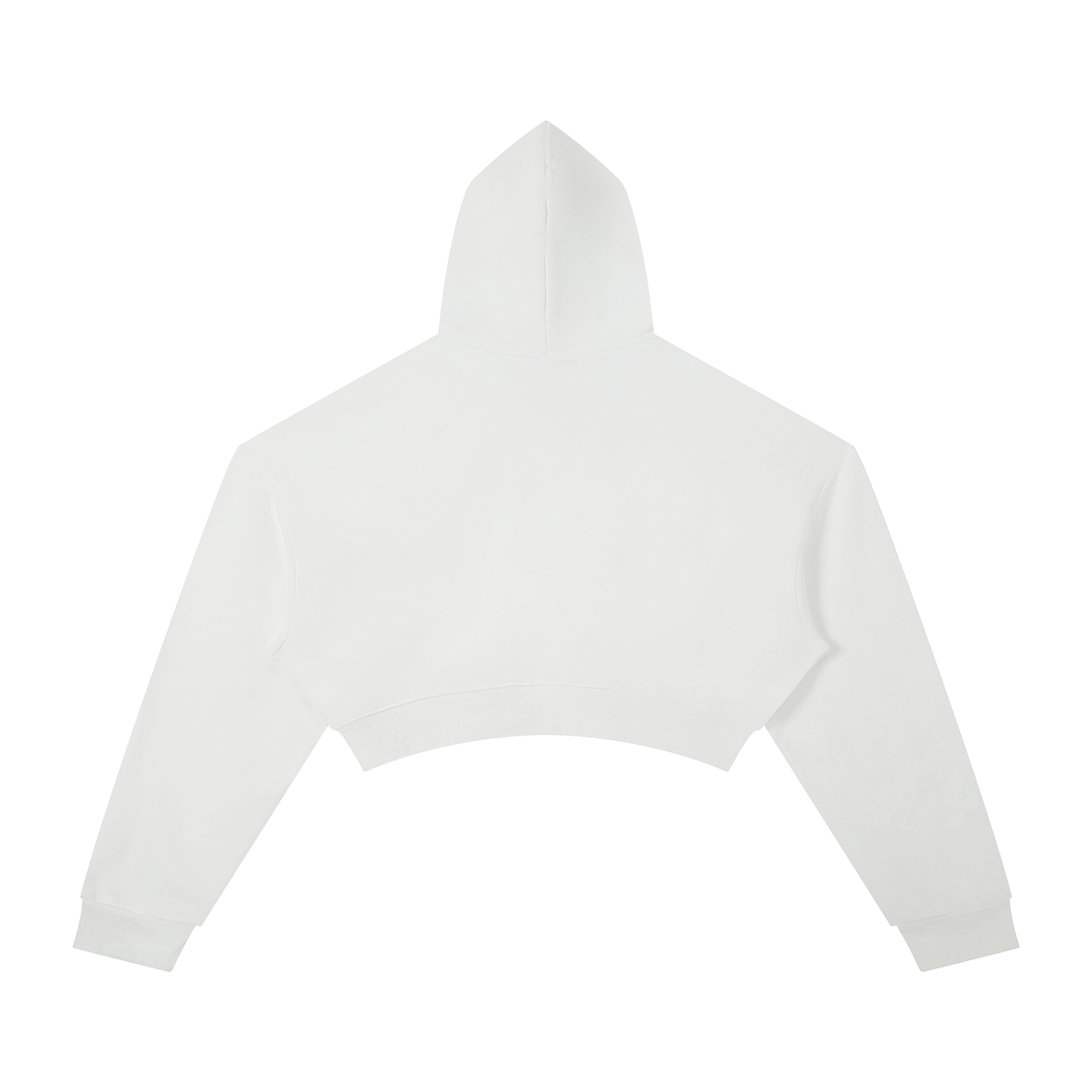 GWAE Cropped Hoodie