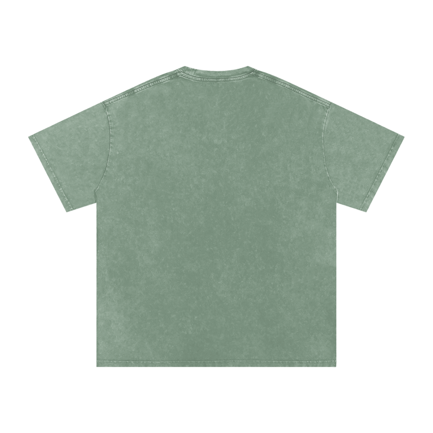 Plain GWAE Snow Washed Oversized Cotton T-Shirt